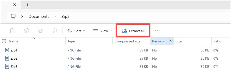 ZIP_ExtractZipContent_3.jpg
